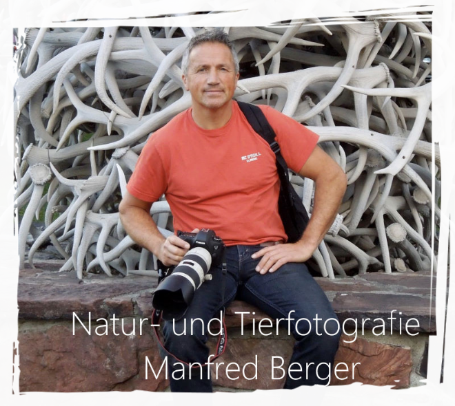 Der Tier- und Natur fotograf Manfred Berger