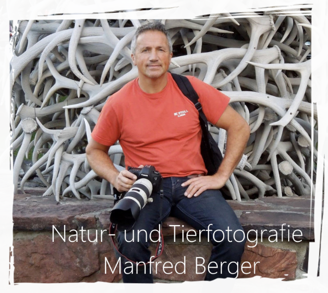 Manfred Berger, Natur- und Tierfotograf Der Tier- und Natur fotograf Manfred Berger